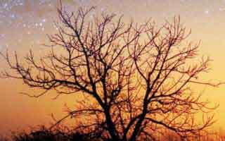 揭秘抖音点赞助力背后的秘密：一部关于自媒体流量的江湖传说与智能自助的故事