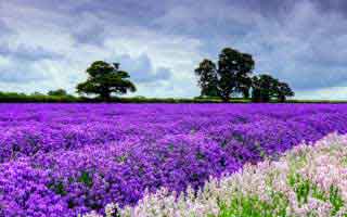 哔哩哔哩怎么缓存物料