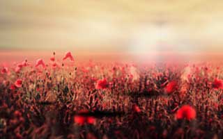 在当今数字化的世界，拥有大量视频内容的创作者都希望能扩大他们的影响力并增加视频播放量。确实，拥有一个较高的视频点击量不仅能帮助创作者获得更多关注，还能带来潜在的商业机会。那么，如何有效地增加视频号的播放量呢？今天，我要分享一些策略和建议，包括一个神秘网址的应用，帮助你显著提高视频曝光和播放量。